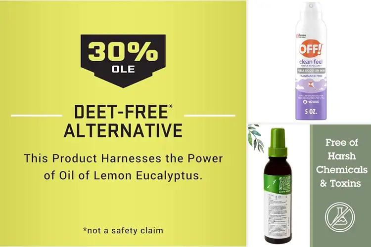 Detailed view of 10 Best DEET-Free Repellents: Stay Bite-Free on Trails