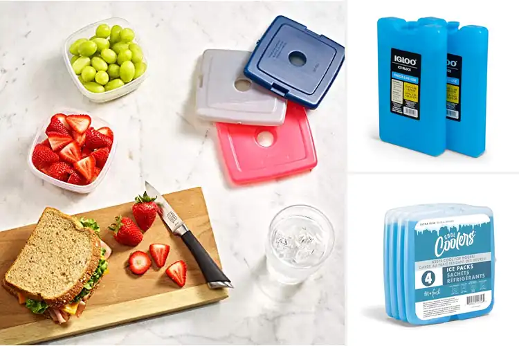 Detailed view of 10 Best Picnic Tote Ice Packs: Stay Fresh for Hours